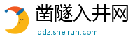 凿隧入井网